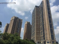 遠(yuǎn)洋新干線