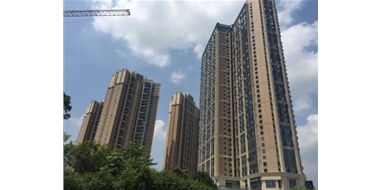 遠(yuǎn)洋新干線